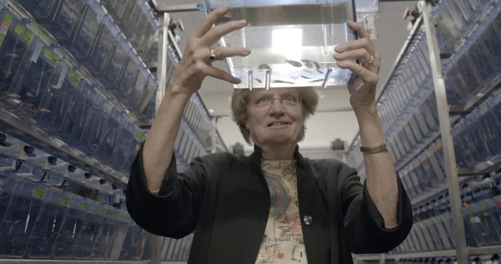 Nancy Hopkins in a still from the documentary &quot;Picture a Scientist.&quot; (Courtesy)