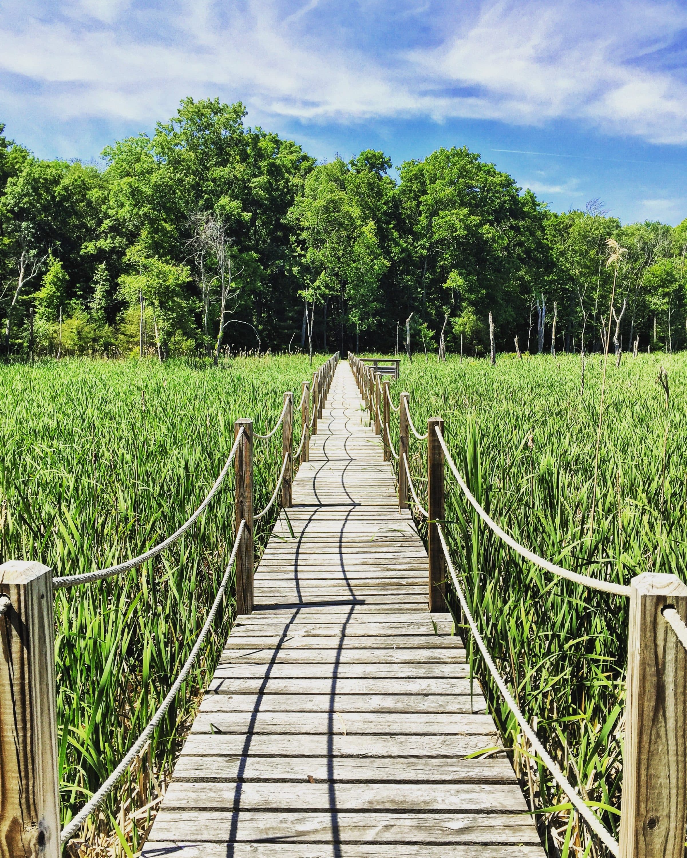 Ward Reservation in Andover (Patrick Cheetham for Bay Circuit Trail)