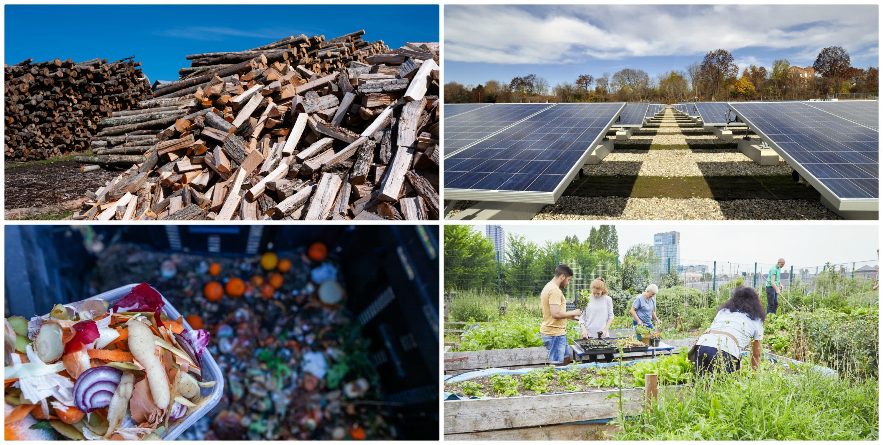 Clockwise from top left, hardwood logs in Charlotte, Vermont in 2020; solar panels in Pittsfield, Mass. in 2010; a group of volunteers work in a community garden; compostable food (AP Images; Getty Images; and Compassionate Eye Foundation/Natasha Alipour Faridani via Getty Images)