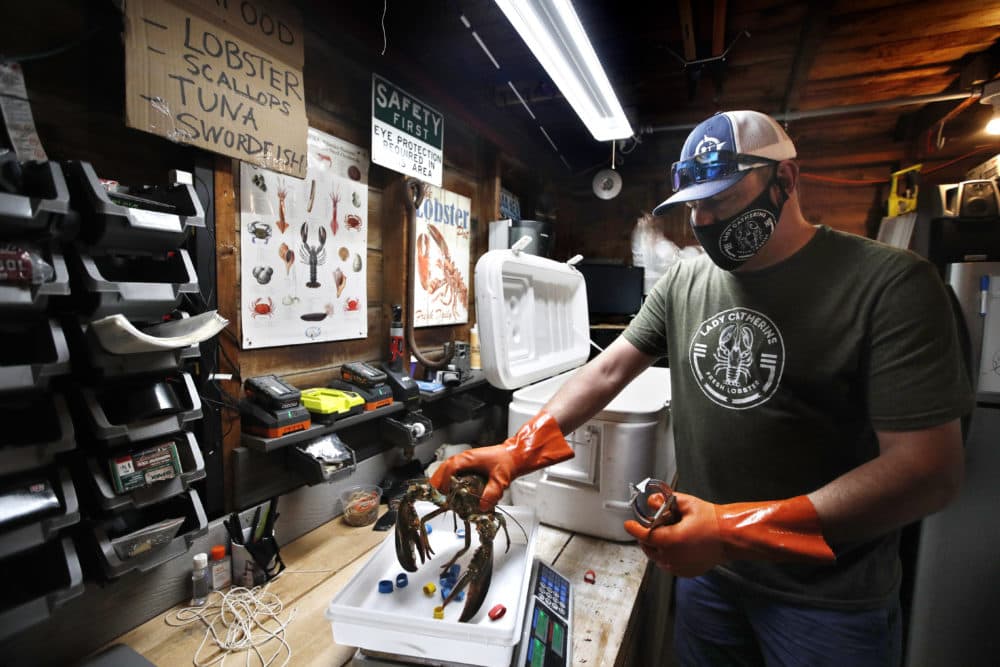 In this May 29 photo, Eric Pray weighs a lobster in his garage in Portland, Maine. The coronavirus shutdown had prompted Pray to sell his product direct to customers. (Robert F. Bukaty/AP)