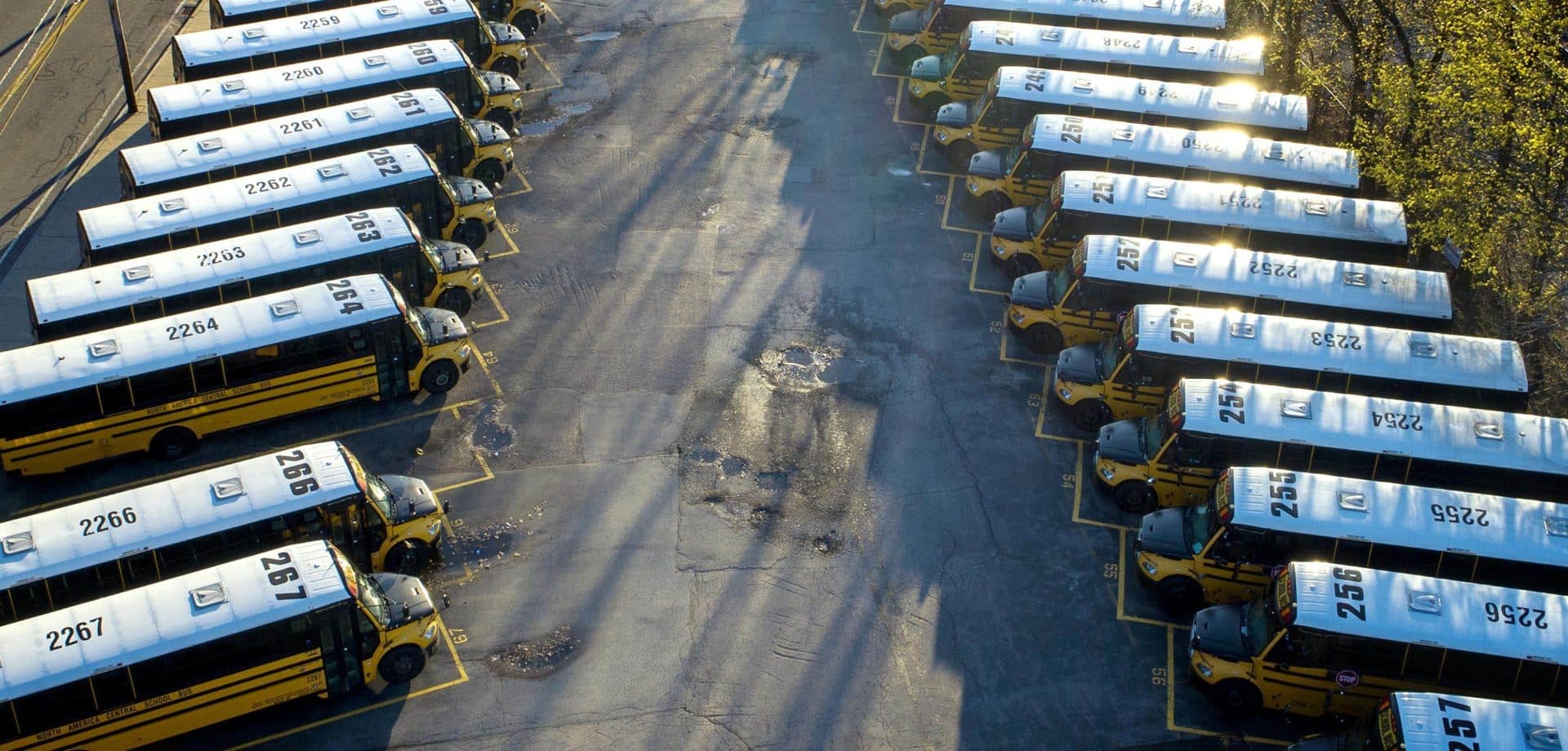 Rows of school buses parked on Pleasant Street in Belmont, Mass. (Robin Lubbock/WBUR)