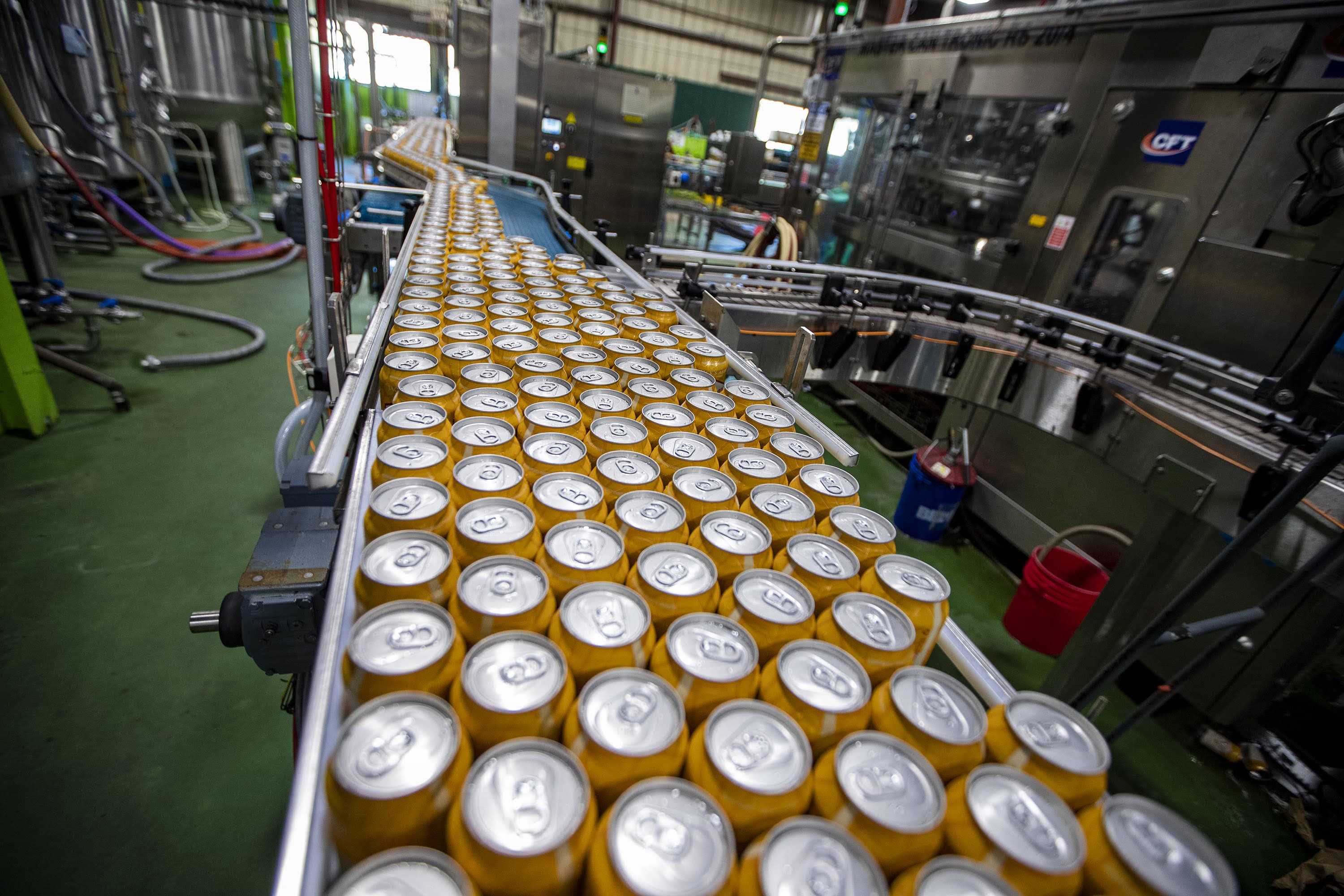 Cans of Blood Orange Wheat on canning line at Jack’s Abby in Framingham. (Jesse Costa/WBUR)