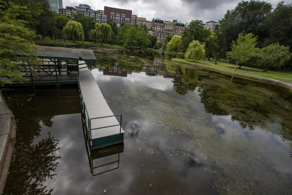 The dock at the side of the lagoon in the Boston Public Garden will remain empty until next spring. The Paget family formally announced they will not operate the swan boats this year due to the coronavirus pandemic. (Jesse Costa/WBUR)