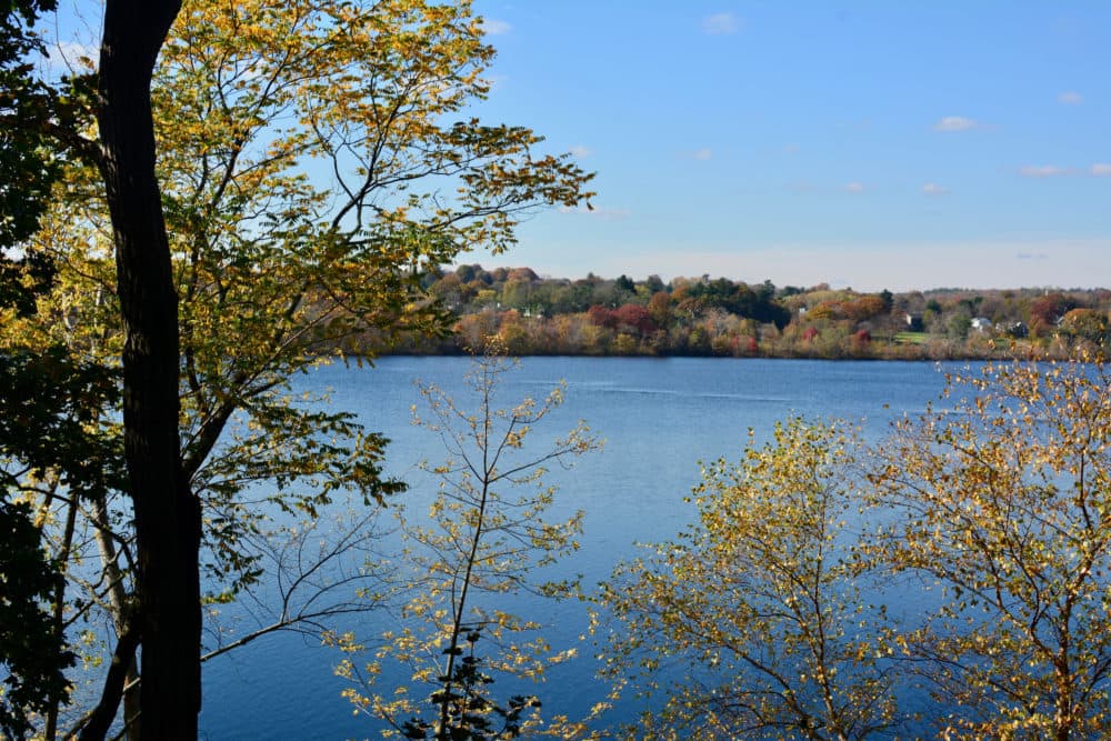 Fresh Pond Reservoir in Cambridge, Massachusetts. (Photo via Shutterstock)
