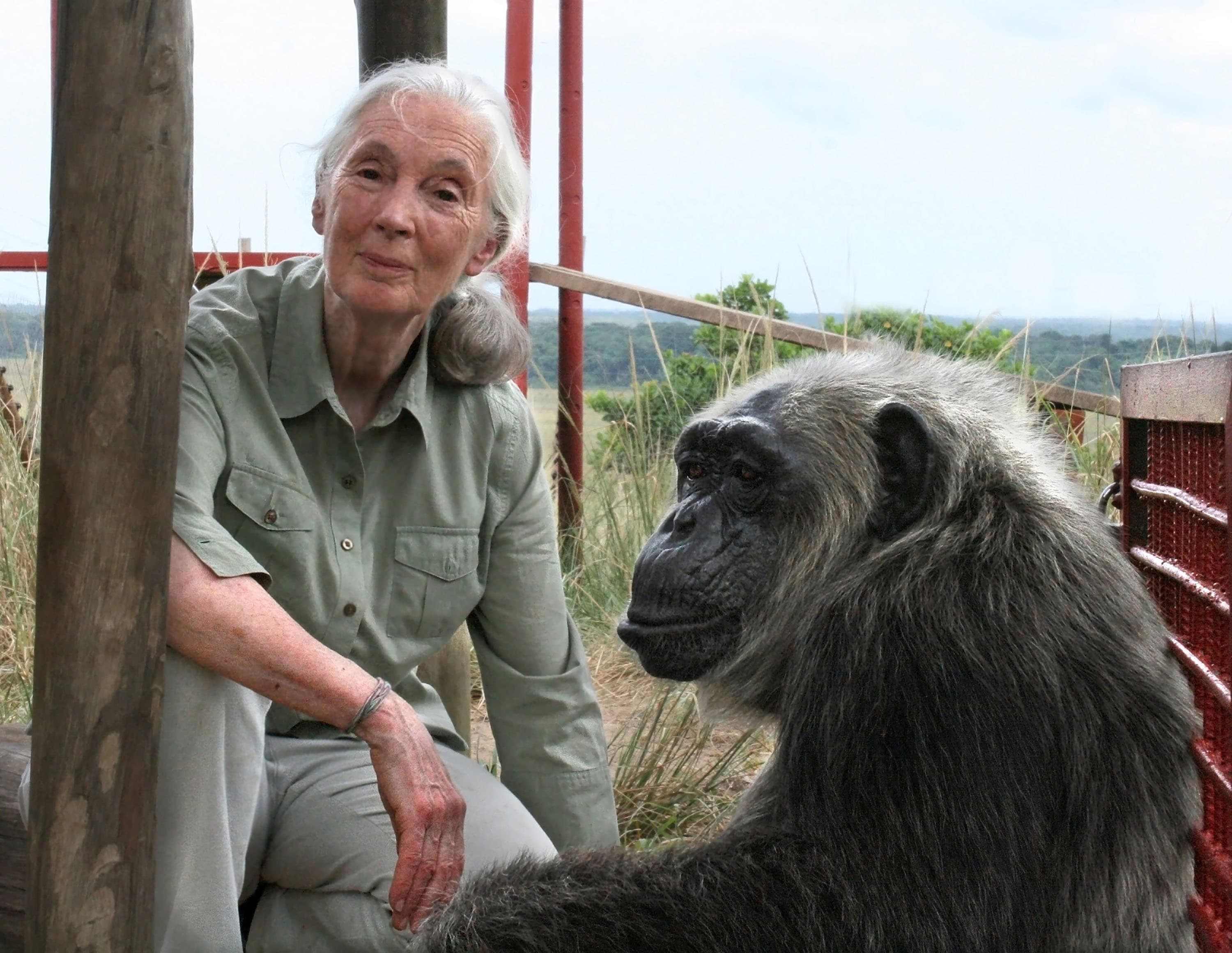 A Conversation With Jane Goodall