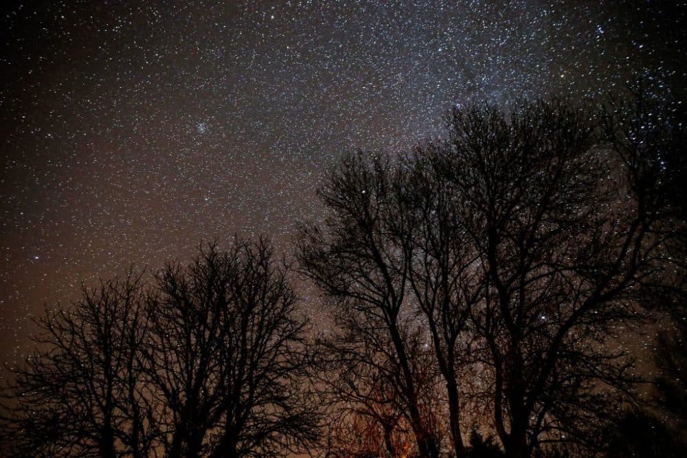 Trees are seen under a starry sky in central France. (Photo by Abdulmonam Eassa/AFP/Getty Images)
