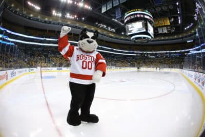 Don't Think Racism Is Baked Into Our Culture? Just Look At BU's Beloved Mascot, Rhett The Terrier