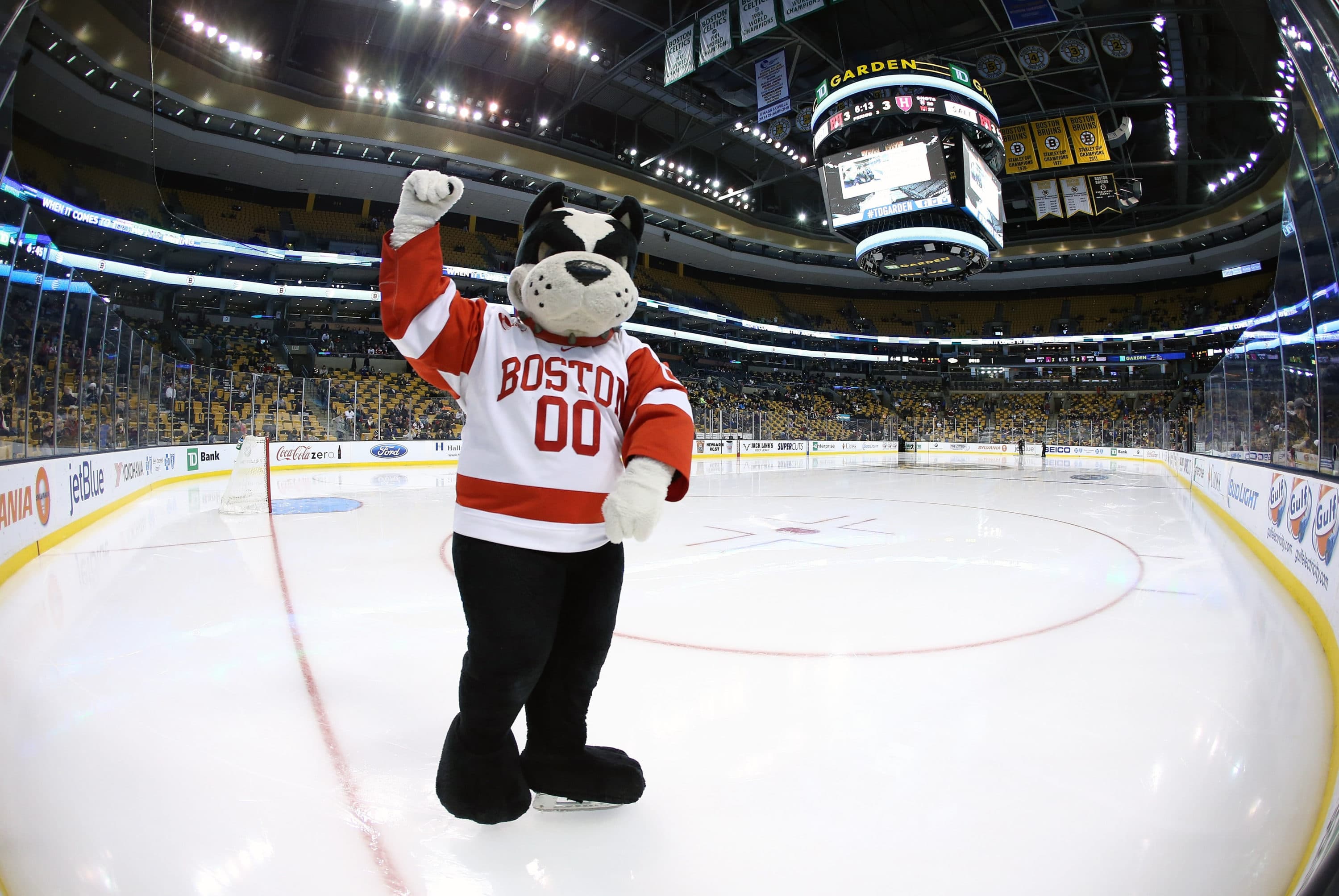 Don't Think Racism Is Baked Into Our Culture? Just Look At BU's Beloved Mascot, Rhett The Terrier