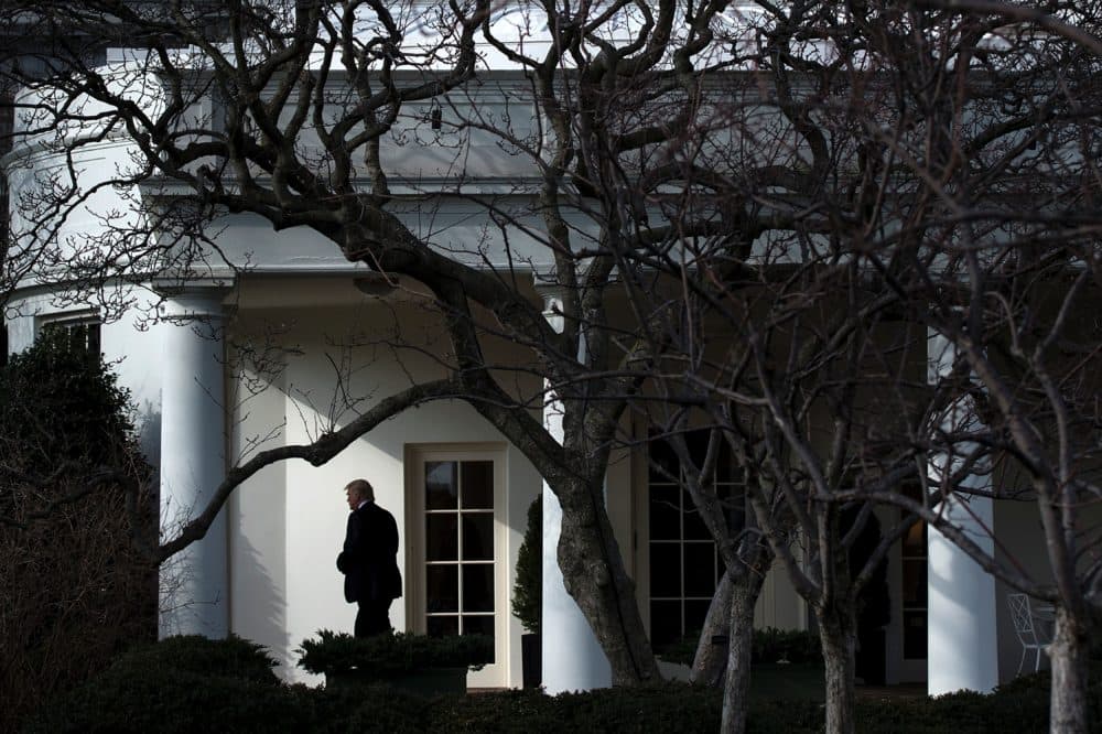 President Donald Trump on the South Lawn of the White House on January 26, 2017. (Brendan Smialowski/AFP via Getty Images)