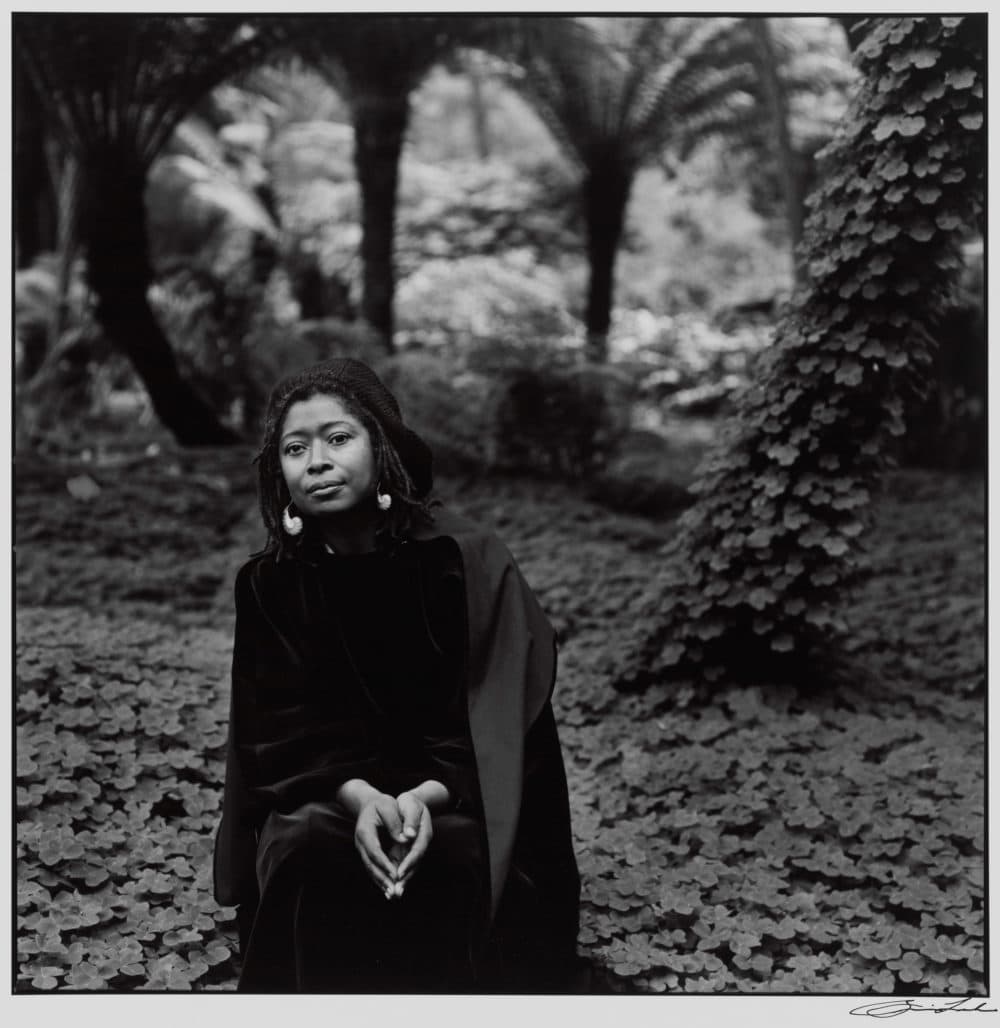 Brian Lanker, &quot;Alice Walker,&quot; from &quot;I Dream a World,&quot; 1987-88. (Courtesy Harvard Art Museums/Fogg Museum, Schneider/Erdman Printer's Proof Collection)
