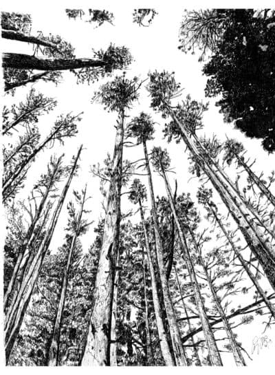 Encore: Randonauts — How Randomly Generated Coordinates Are Helping People Seek Meaning And Adventure