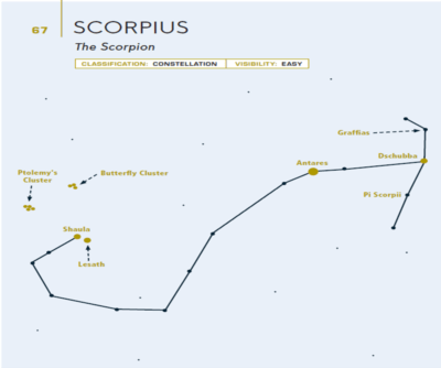 Scorpius from &quot;100 Things to See in the Night Sky, Expanded Edition.&quot; (Courtesy)