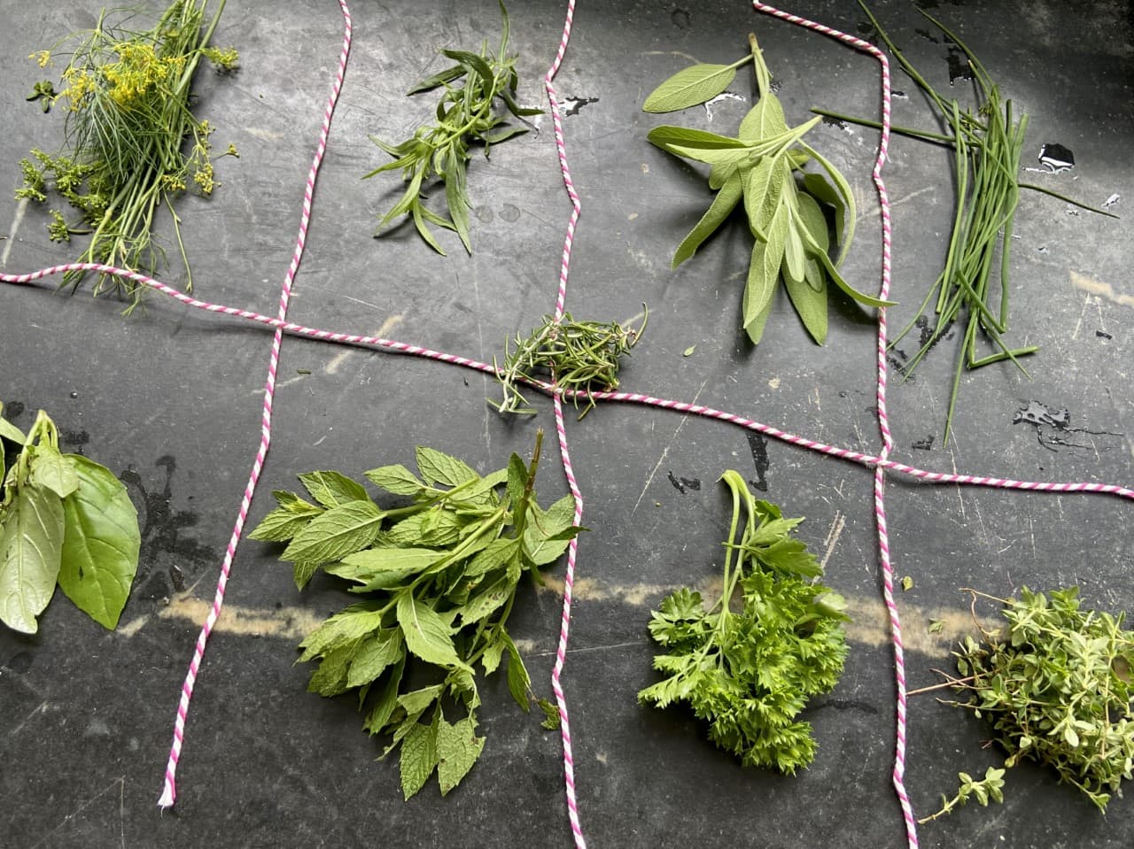 Top row (left to right): dill, tarragon, sage, chives. Middle row: rosemary. Lower row: basil, mint, parsley, thyme. (Kathy Gunst/Here & Now)