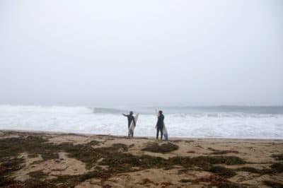 Surfers Learn How To Plan For Uncertainty. It's A Good Lesson For Life During A Pandemic