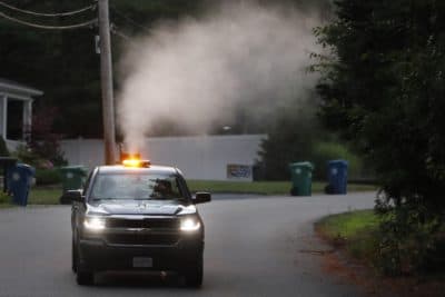 Should We Stop Spraying For Mosquitos During The Pandemic?