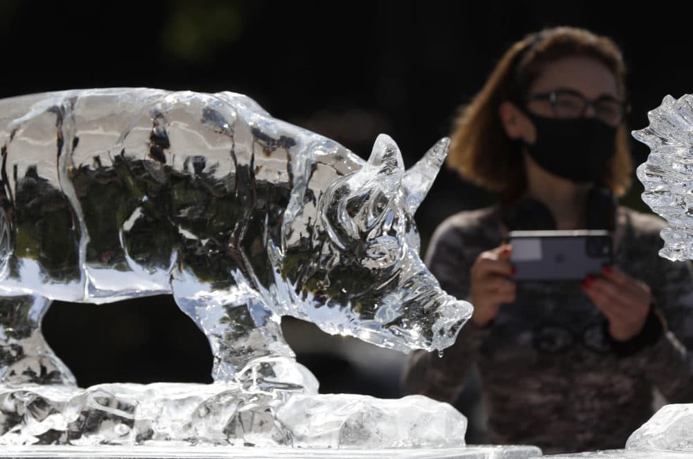 A woman takes a photo of the animal rights group PETA's ice sculptures in the shape of farm animals with a placard that says &quot;Meat = Heat,&quot; Aug. 7, 2020. (Alastair Grant/AP)