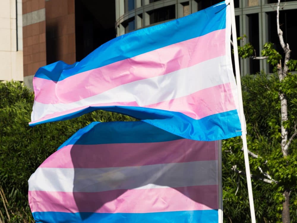 Trans pride flags flutter in the wind at a gathering to celebrate International Transgender Day of Visibility. (Robyn Beck/AFP via Getty Images)