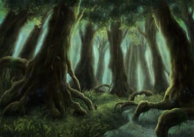 Encore: Angel's Glow — From Civil War Folklore To Winning Science Fair Project