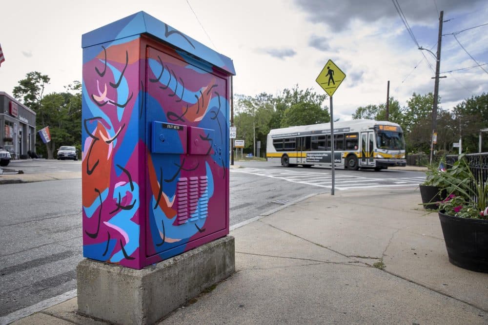 A utility box on Jerome Street in Medford, painted by the artist Destiny Palmer. (Robin Lubbock/WBUR)