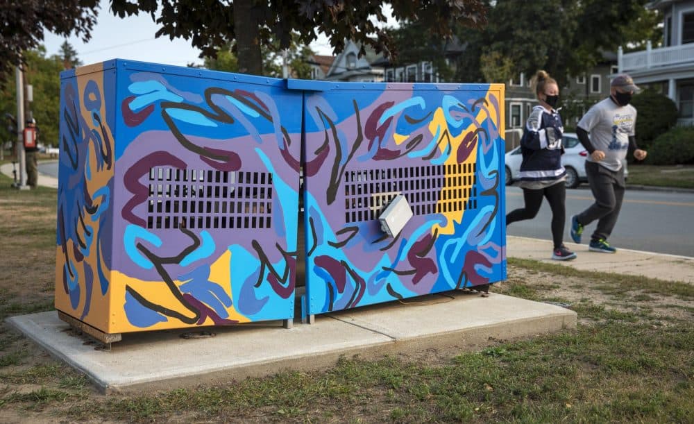 A utility box on Playstead Road in Medford, painted by the artist Destiny Palmer. (Robin Lubbock/WBUR)