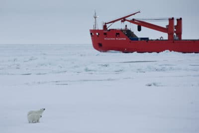 Researchers Wrap Up Largest Polar Expedition In History To Better Understand Climate Change