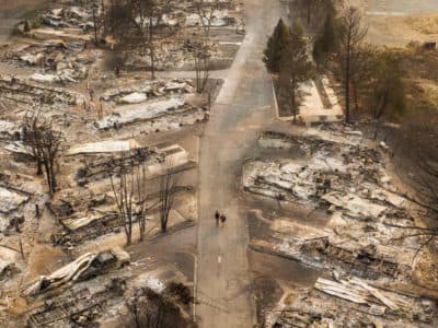 I’ve Lived Through Wildfires Before, But Nothing Compares To This: A Letter From The West Coast