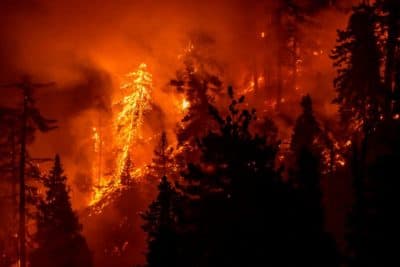 Rising Temperatures From Climate Change And Extreme Wildfires Go ‘Hand-In-Hand,’ Scientist Says