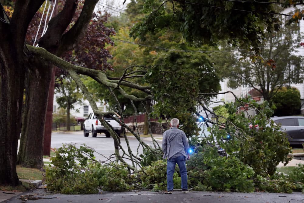 A downed tree on Melbourne Ave. in Newton on Sept. 30, 2020. (Craig F. Walker/The Boston Globe via Getty Images)