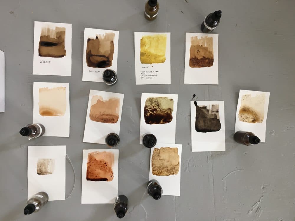 Digital artist and MassArt Professor Jane Marsching will teach a workshop making pigments from natural materials like plants and earth. (Courtesy Jane Marsching)