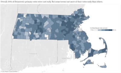 How Early Voting Data Shows Some Inequities In The Mass. Democratic Primary