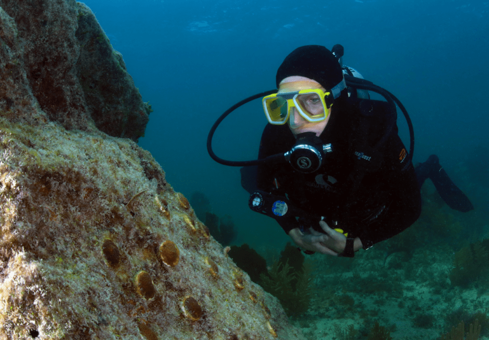  Sarah Fangman, superintendent of the Florida Keys National Marine Sanctuary. (Courtesy)