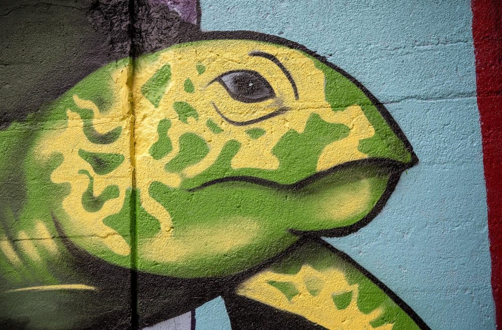 Detail of a turtle at the mural at Porter Street on the Mary Ellen Welch Greenway in East Boston. (Robin Lubbock/WBUR)