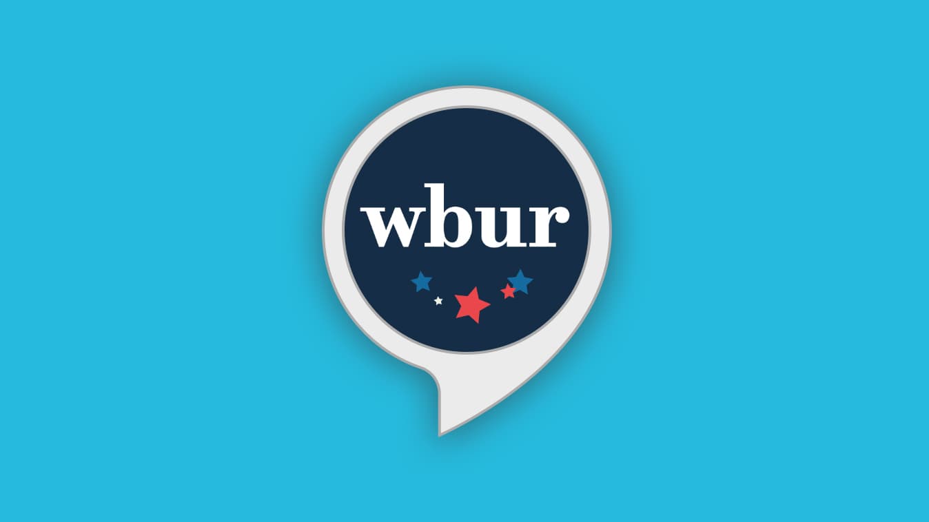 Building A Voice-Activated Voter Guide