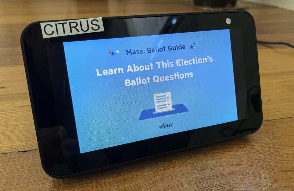 This image card displays when "Mass. Ballot Guide" is running on a device with a screen. (Jack Mitchell/WBUR)