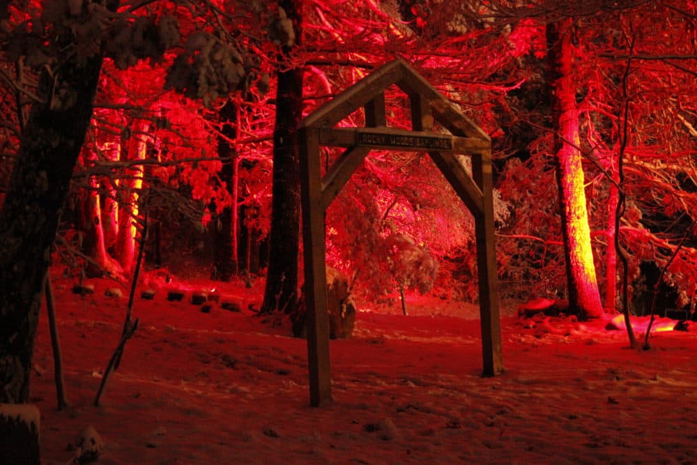 Spooky lighting for Halloween in Rocky Woods. (Jenn Stanley)