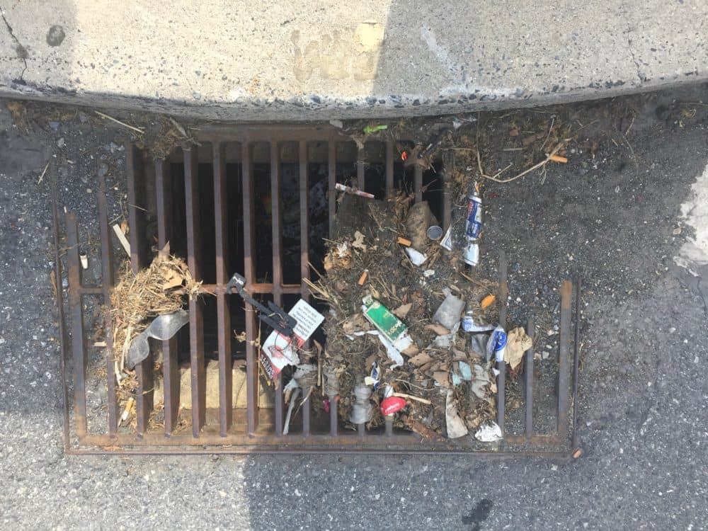 Litter in storm drain in Lancaster, Pennsylvania. (Courtesy Kara Lavender Law)