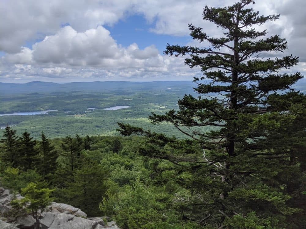 Looking down from a rocky ledge on Mount Monadnock, which inspired the setting for author Andrew Krivak's novel, &quot;The Bear&quot;