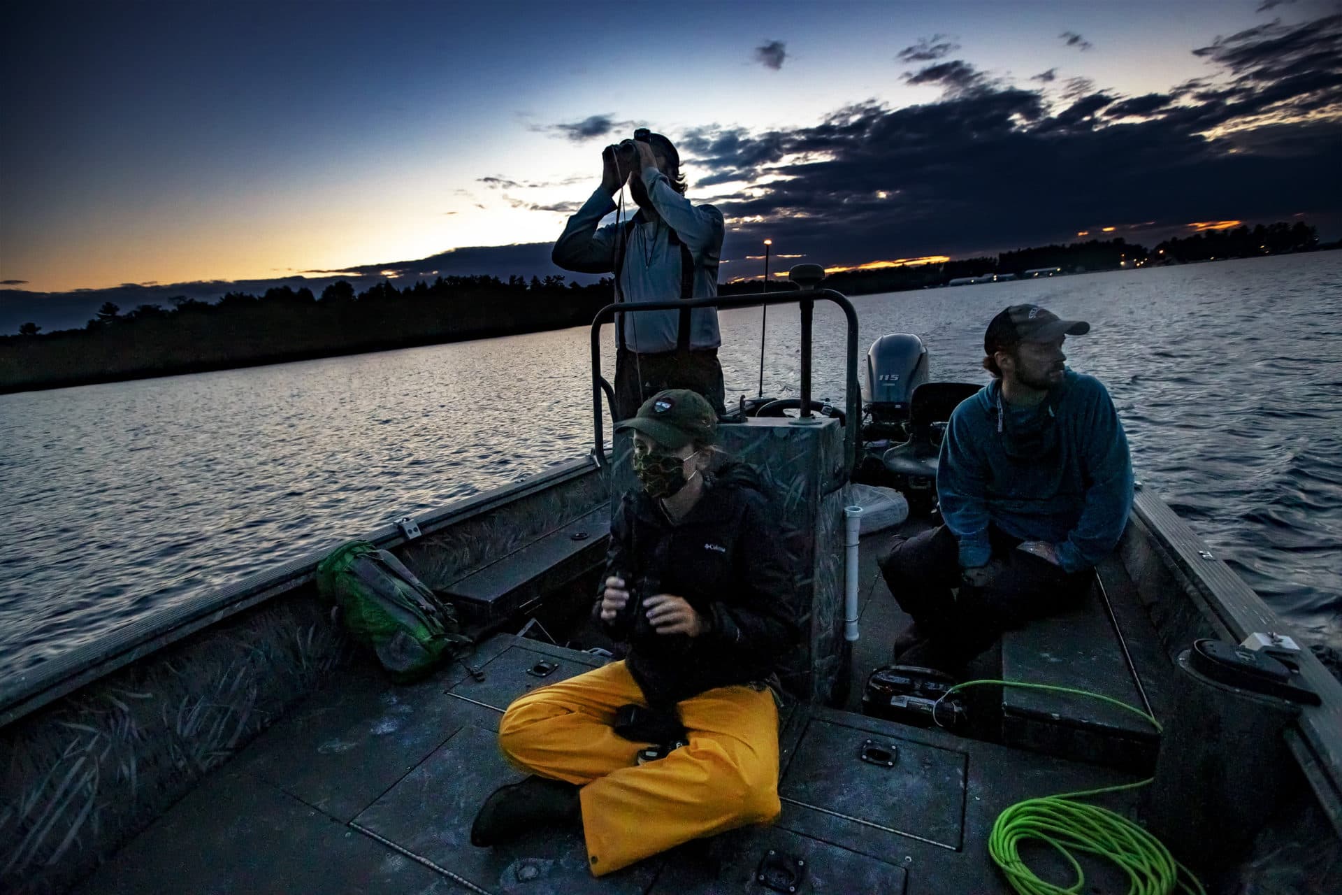 (L-R) Chris Persico, Helen Yurek and Kevin Regan search for a Common Loon chick approximately 9 week old in the Sebego Lake Basin in Standish, Maine, which they plan to capture and release in Lakeville, Massachusetts later that evening. (Jesse Costa/WBUR)