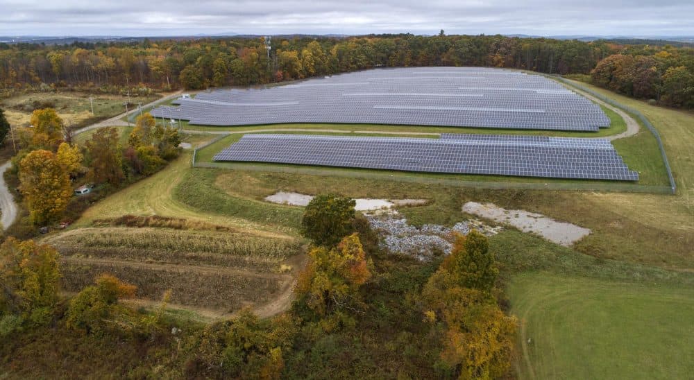 Solar panels cover the top field at Knowlton Farm. Soon work will start on an agrivoltaic array in the field below them. (Robin Lubbock/WBUR)