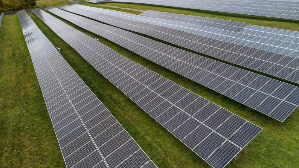 Solar panels in a field at Knowlton Farm, Grafton. (Robin Lubbock/WBUR)