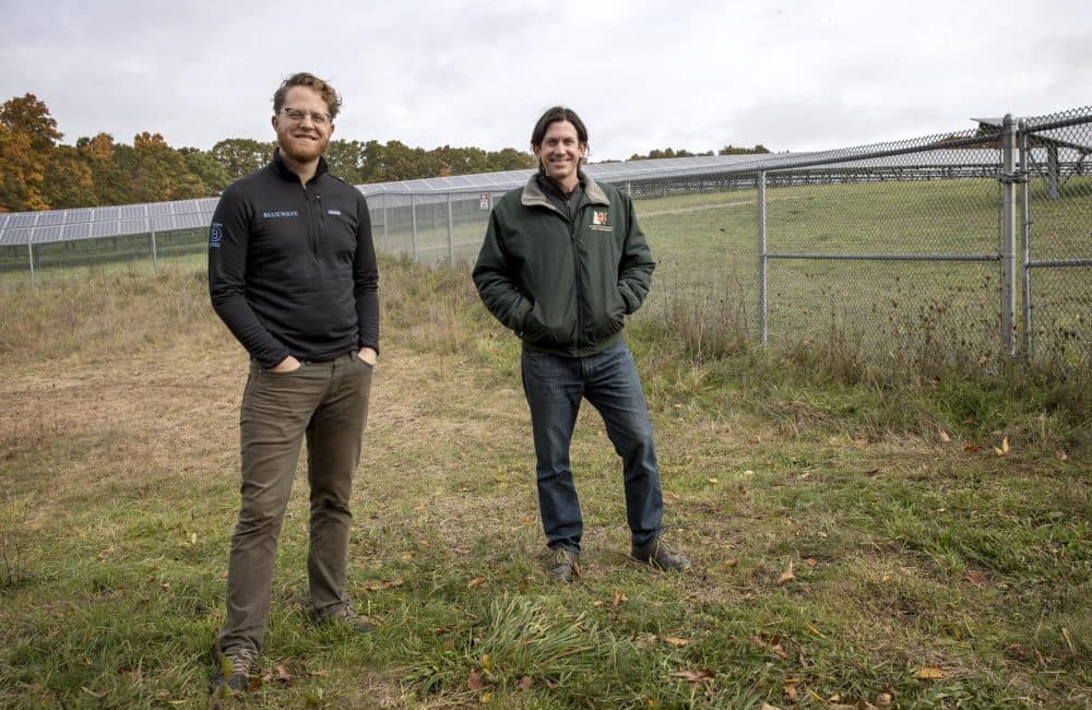 Drew Pierson of Bluewave and Iain Ward of Solar Agricultural Services, at Knowlton Farm. (Robin Lubbock/WBUR)