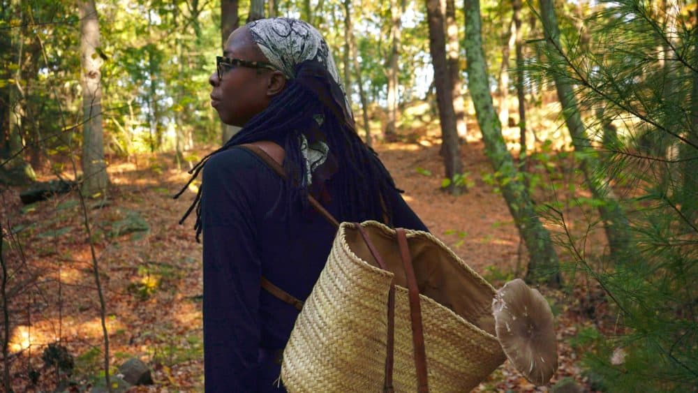 Maria Pinto leads groups into the woods on mushroom foraging trips. (Arielle Gray/ WBUR)