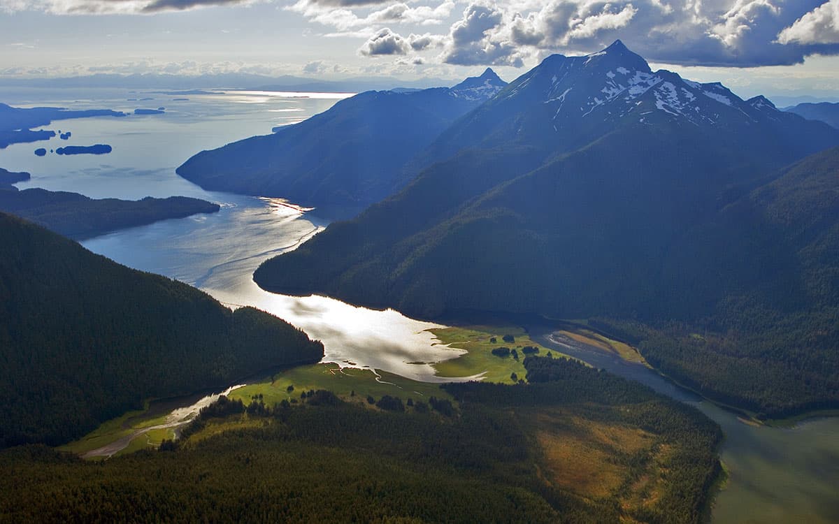 The Tongass is a place where the forest meets the sea. (©Amy Gulick)