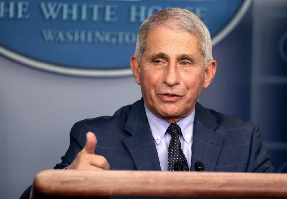 Dr. Anthony Fauci, director of the National Institute of Allergy and Infectious Diseases, speaks during a White House Coronavirus Task Force press briefing at the White House on Nov. 19, 2020. (Tasos Katopodis/Getty Images)