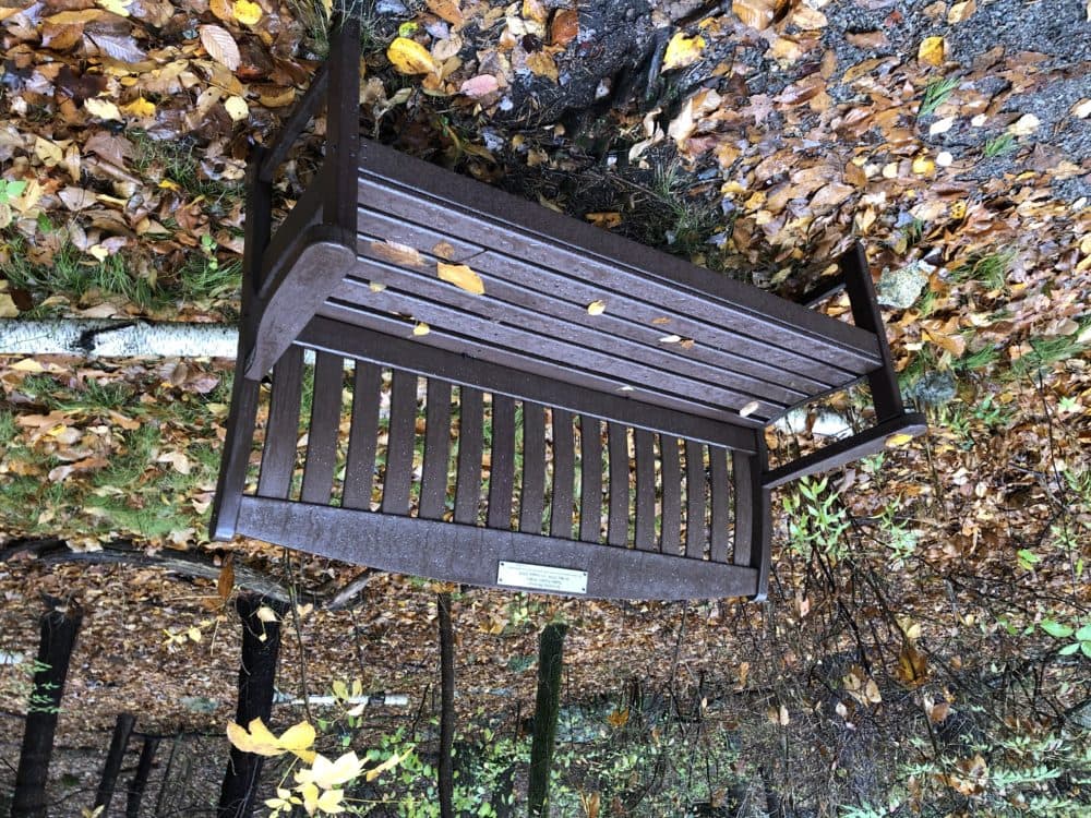 Another bench at Habitat is dedicated to the memory of Nadia Sophie Seiler, a rare materials cataloguer, who died in 2014 at the age of 36. (Rich Barlow/courtesy)