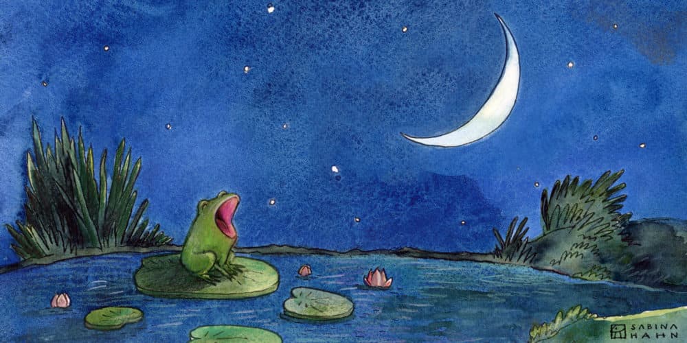  Little Frog’s Big Voice feat. Alex Brightman & Dyllón Burnside 