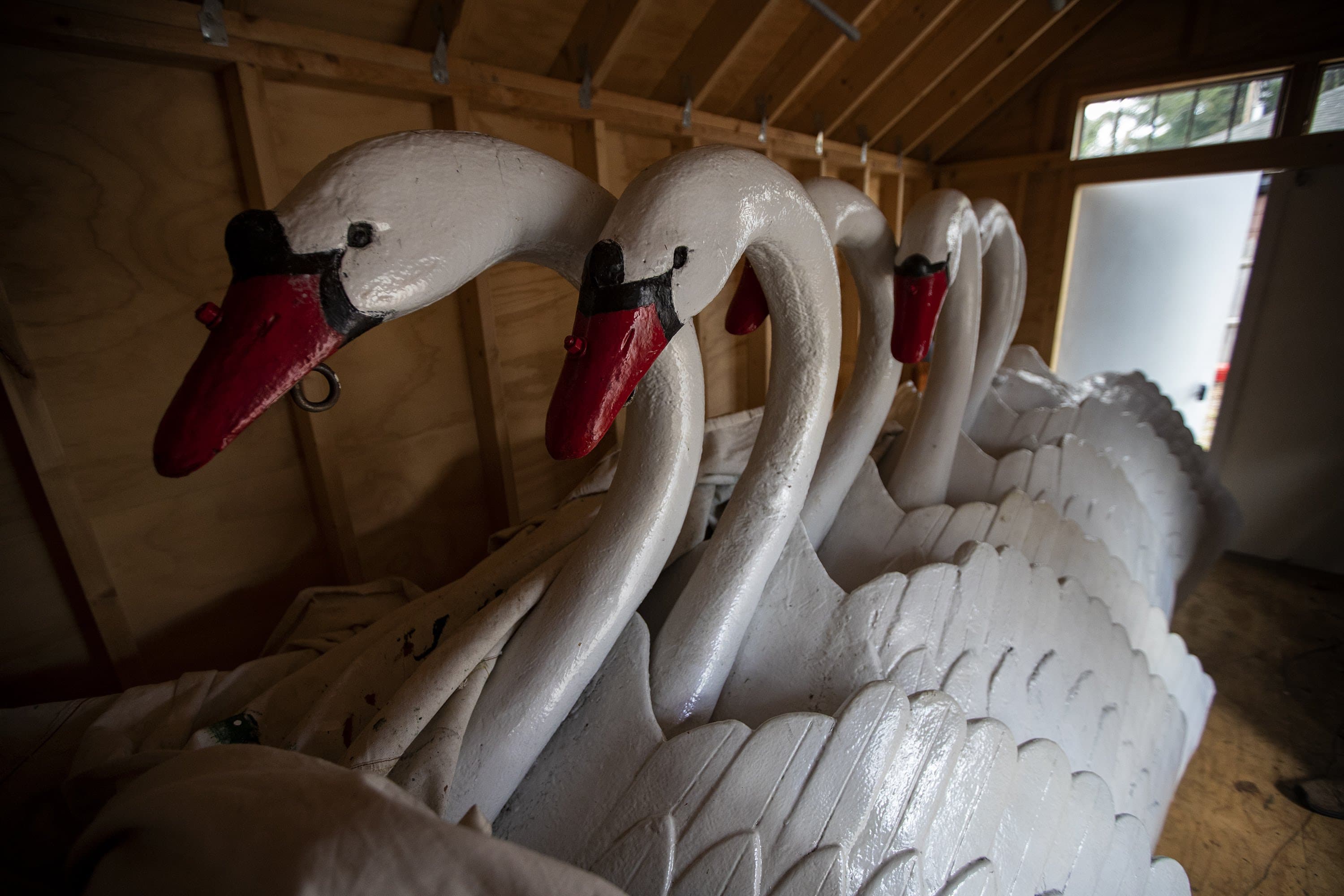 (Jesse Costa/WBUR)