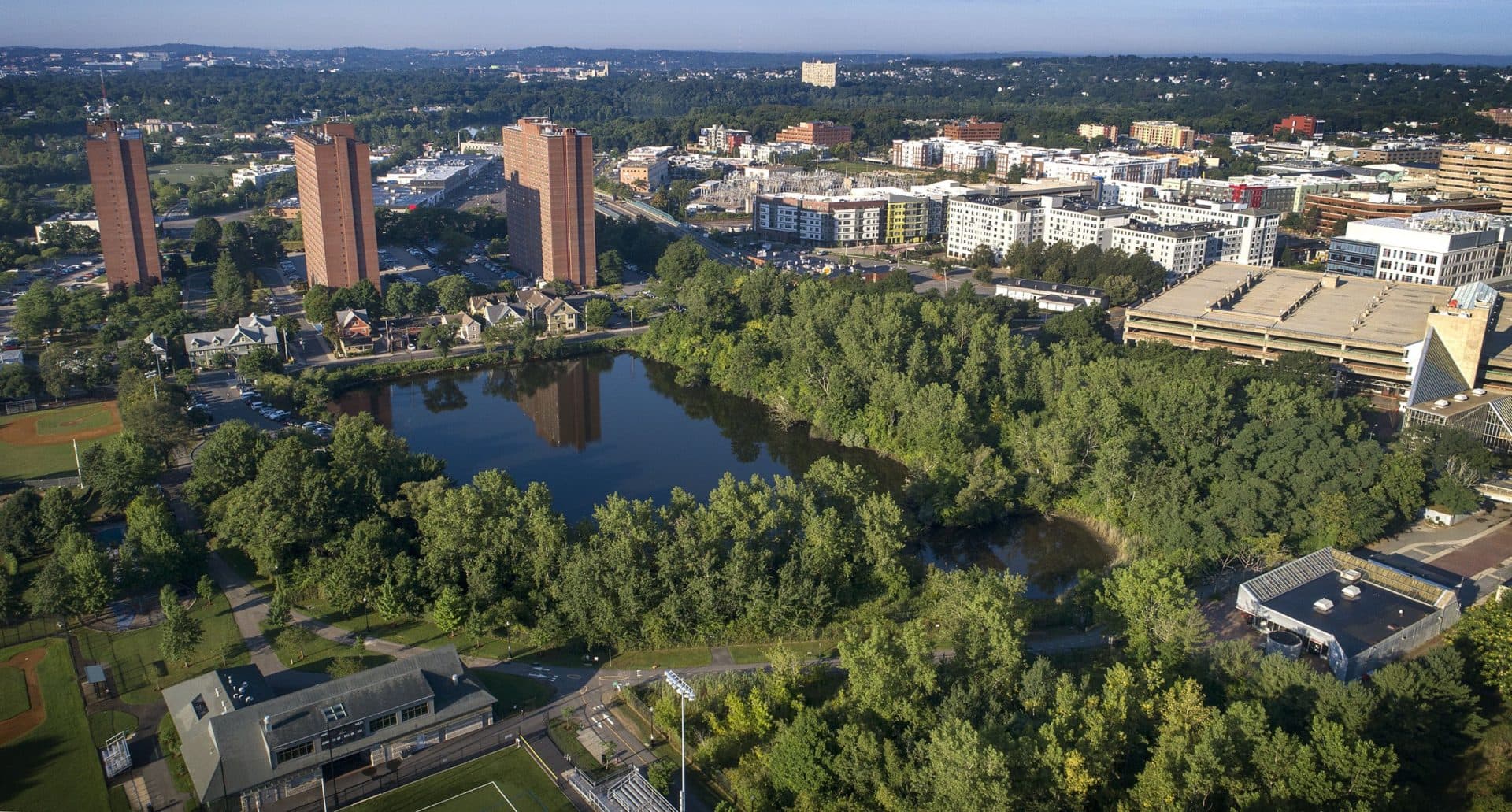 Jerry's Pond in Cambridge, with Rindge Towers on one side and the Alewife MBTA station on the other. (Robin Lubbock/WBUR)