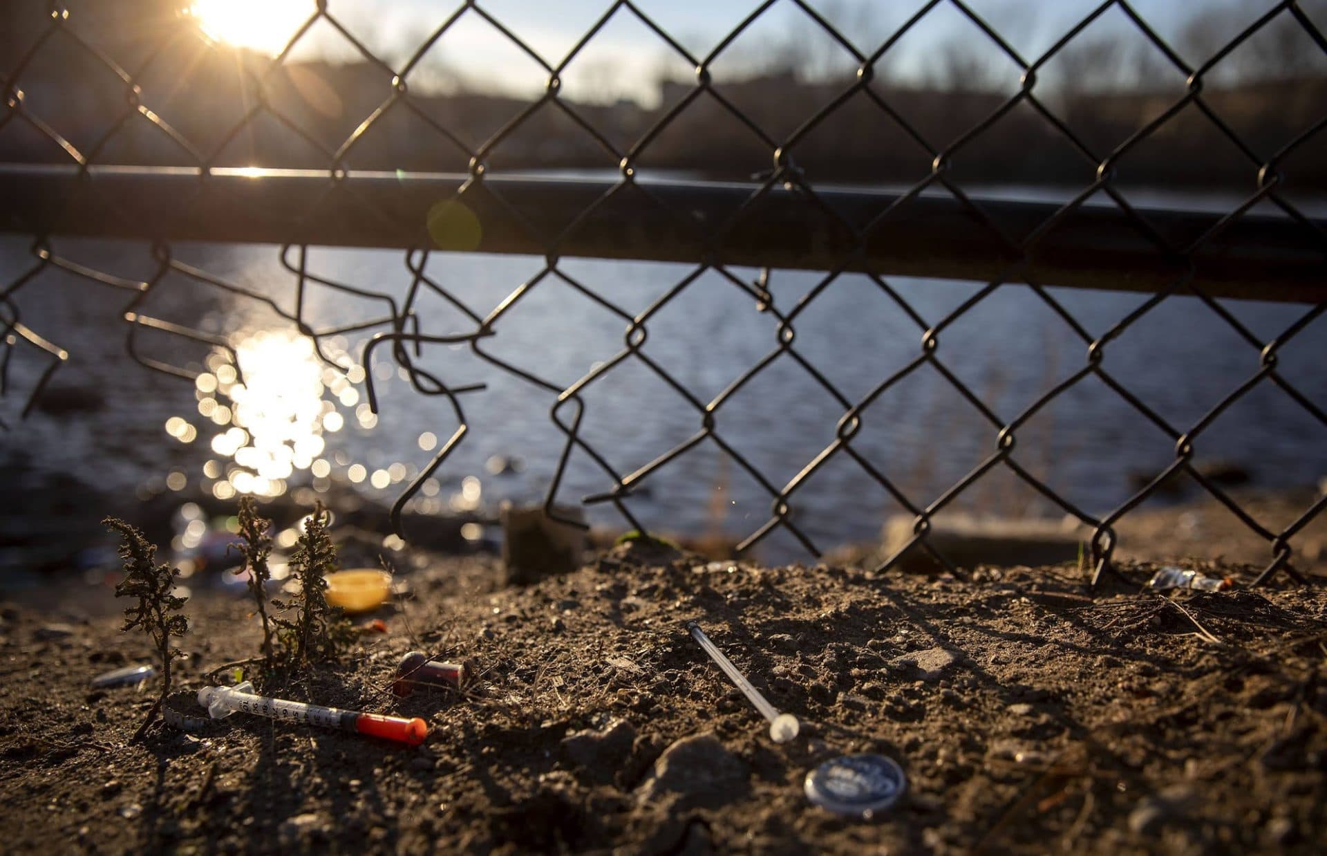 A discarded syringe lies by the fence at the car park by Jerry's Pond. (Robin Lubbock/WBUR)