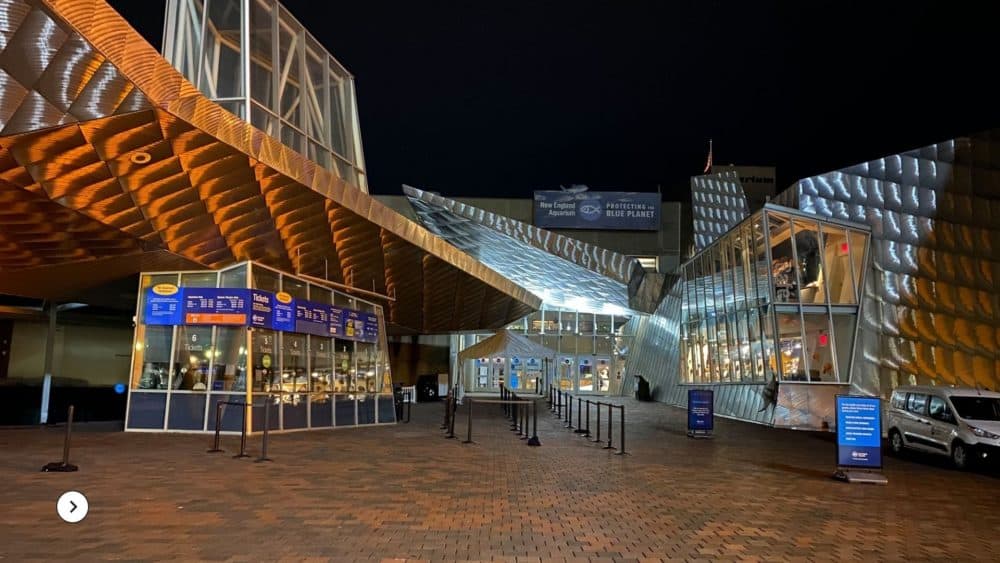 The New England Aquarium at night. (Courtesy)